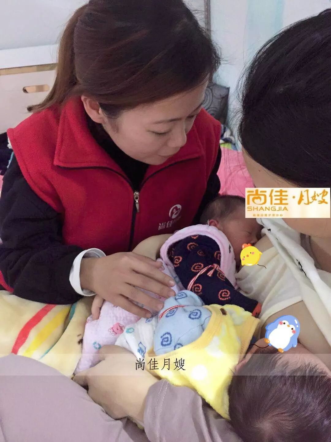 尚佳專業(yè)月嫂丨初生嬰兒需要吃多少？